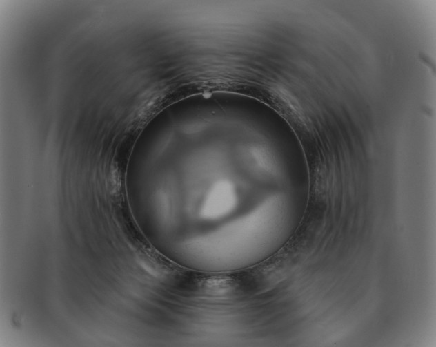 X0000091580173200708271228