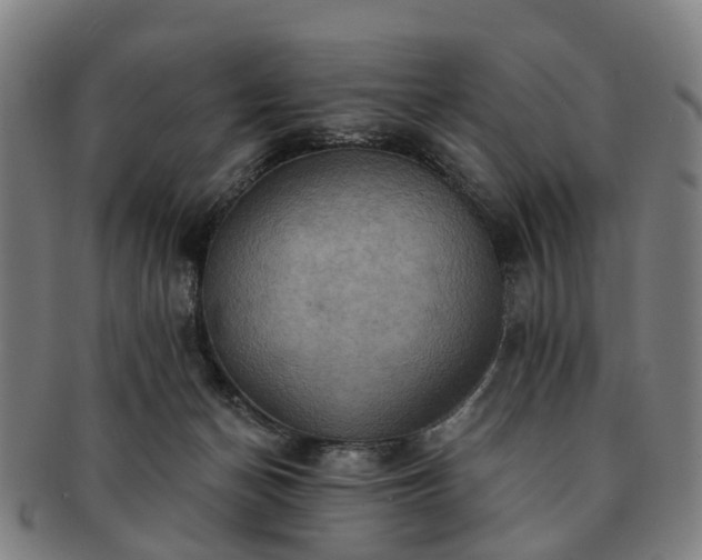 X0000091580174200708271228