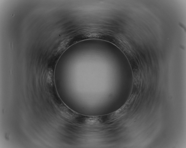 X0000091580175200708271228