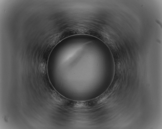 X0000091580177200708271228