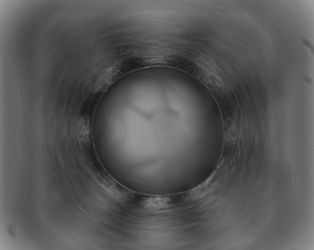 X0000091580179200708271228