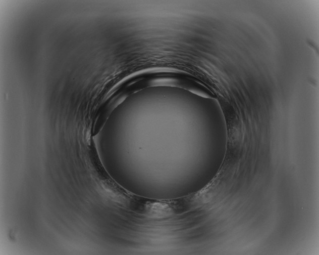 X0000091580180200708271228