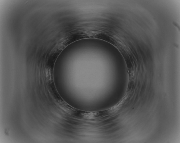 X0000091580182200708271228
