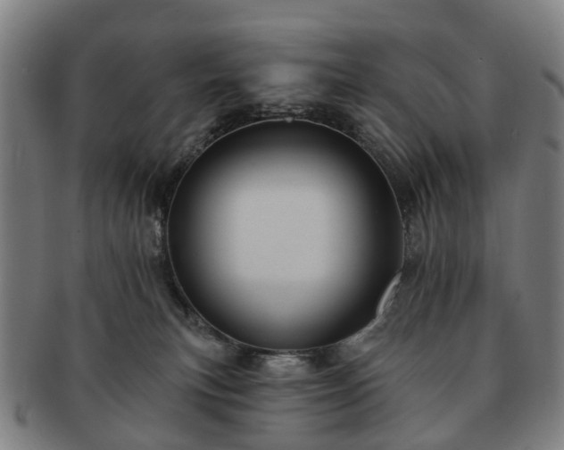 X0000091580183200708271228