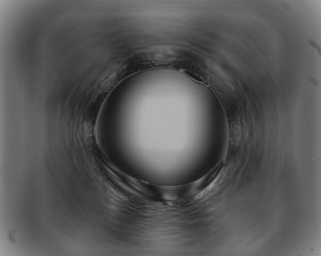 X0000091580184200708271228