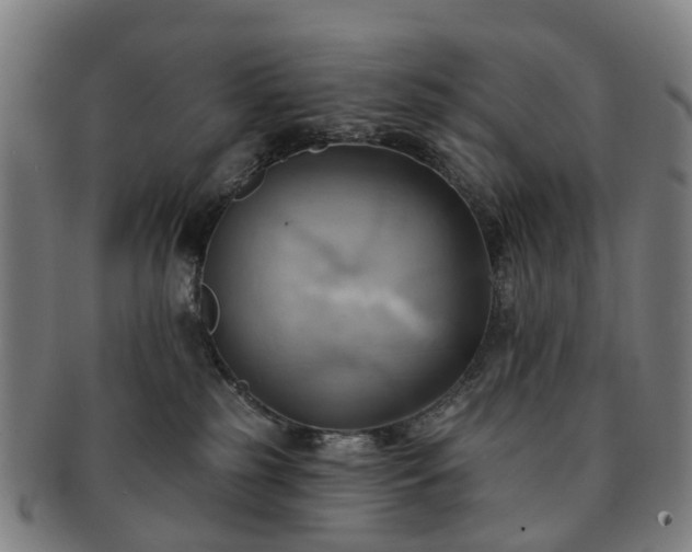 X0000091580185200708271228