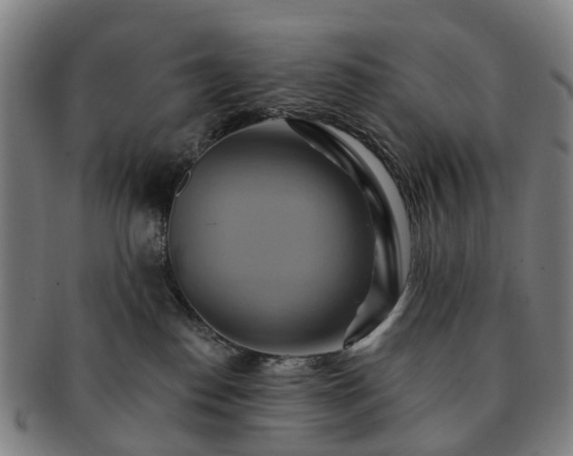 X0000091580186200708271228