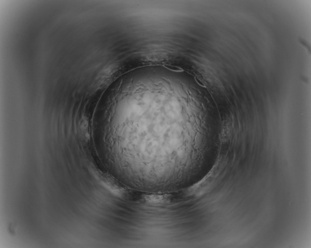 X0000091580187200708271229