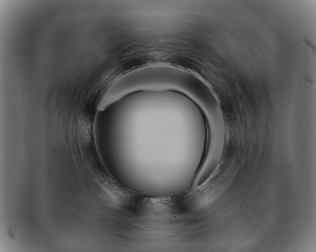 X0000091580188200708271229