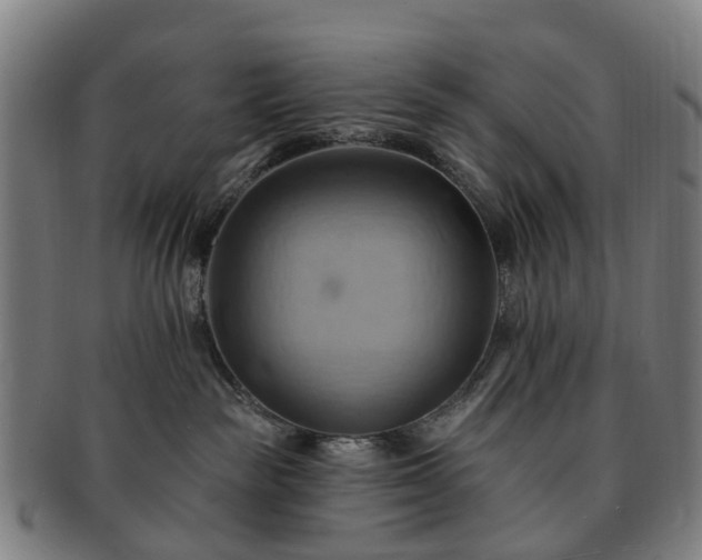 X0000091580189200708271229