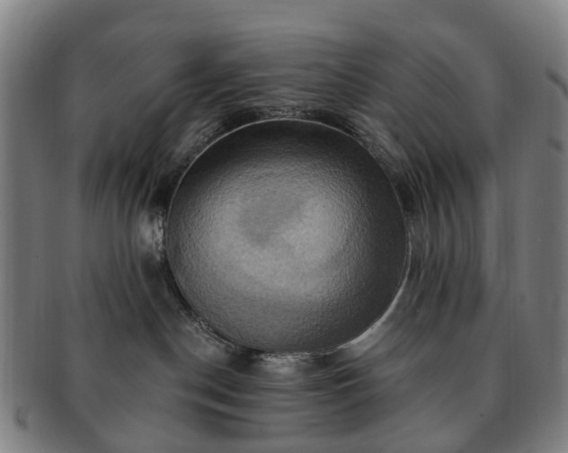 X0000091580190200708271229
