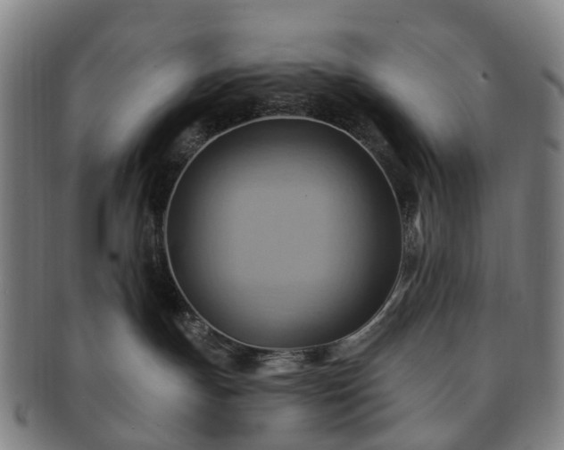 X0000091580191200708271229