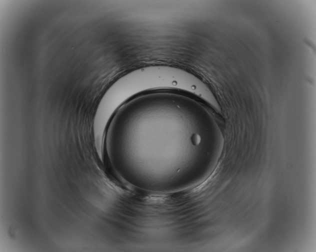 X0000091580192200708271229
