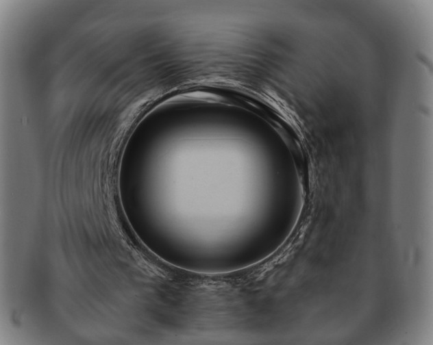 X0000091580193200708271228