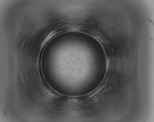 X0000091580195200708271228
