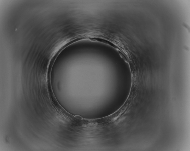 X0000091580196200708271228
