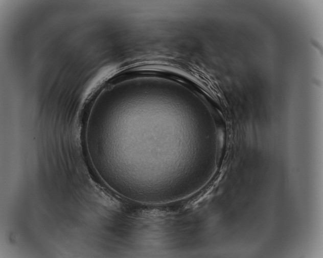X0000091580197200708271228