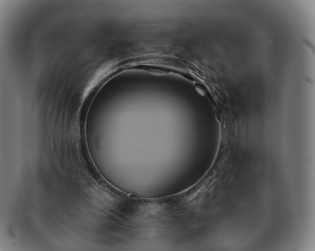 X0000091580198200708271228