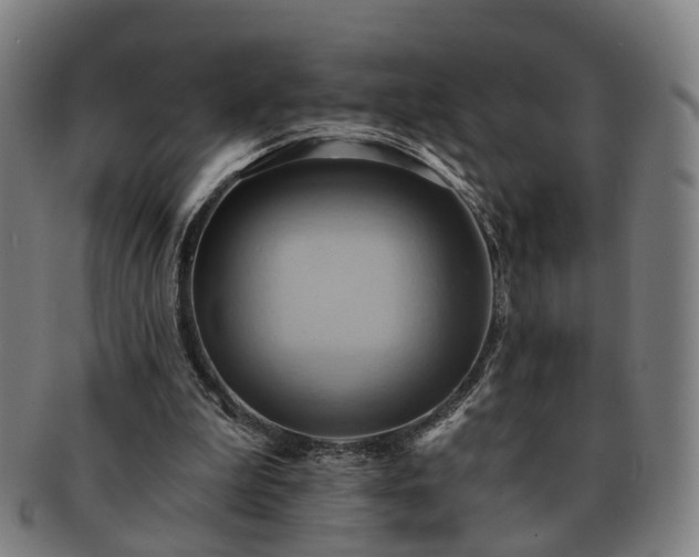 X0000091580199200708271228