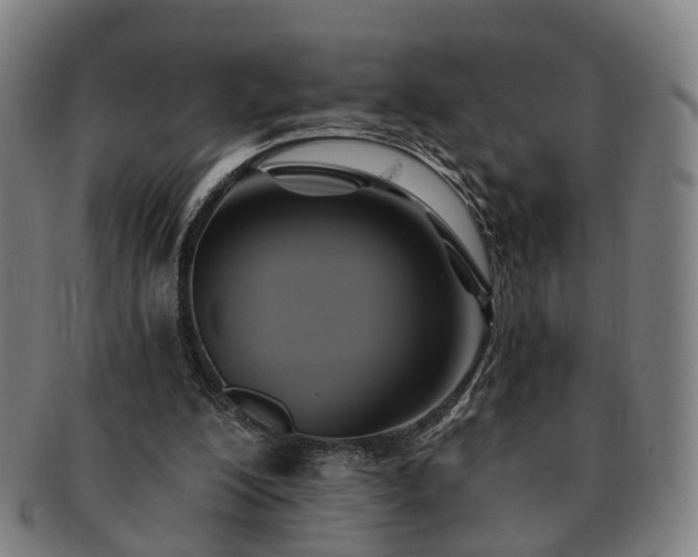 X0000091580200200708271228