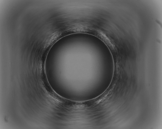 X0000091580202200708271228
