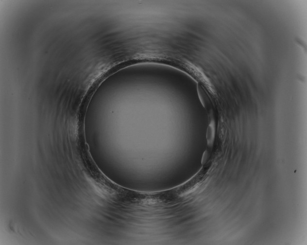X0000091580204200708271228