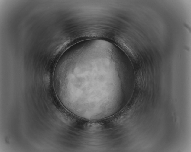 X0000091580208200708271228