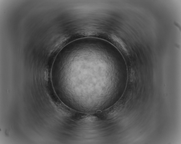 X0000091580210200708271228