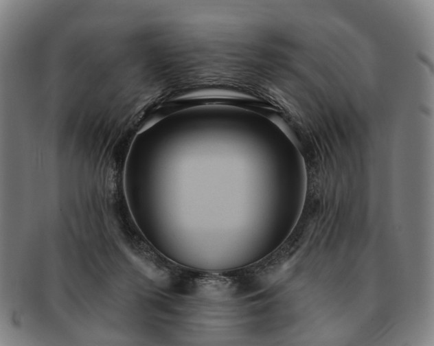 X0000091580215200708271228
