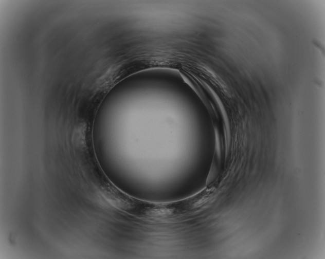 X0000091580217200708271227