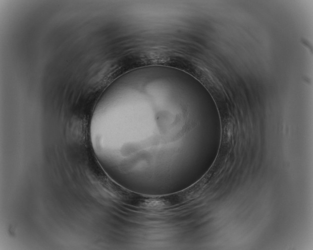 X0000091580218200708271227