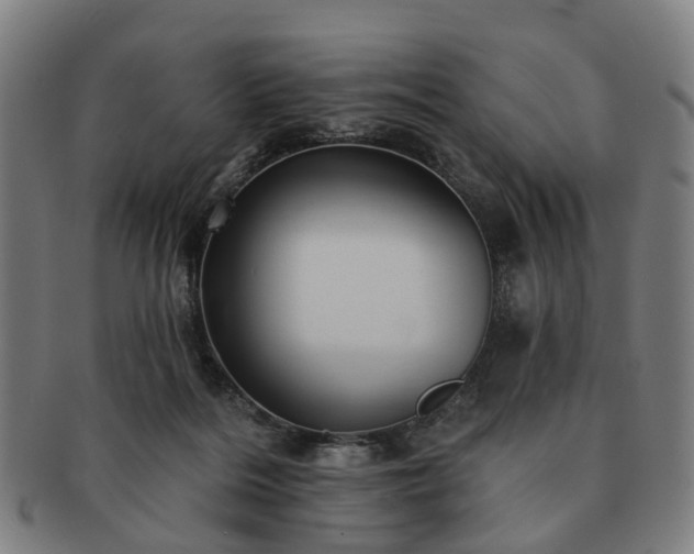 X0000091580220200708271227