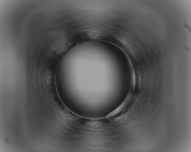 X0000091580221200708271227