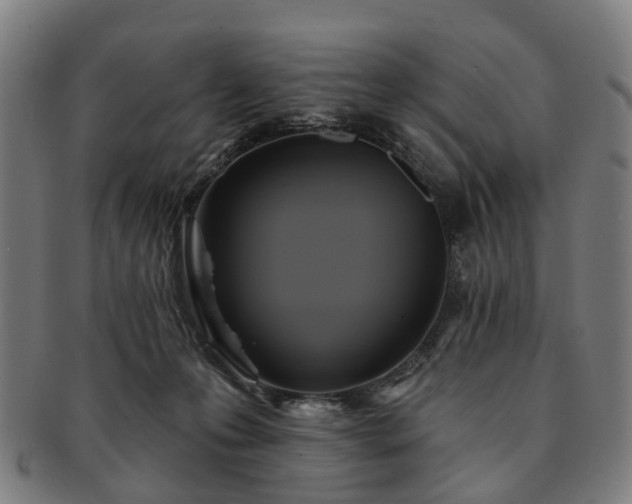 X0000091580223200708271227