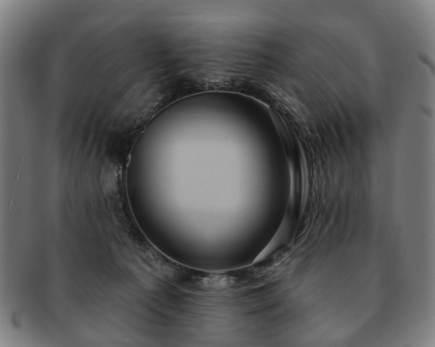 X0000091580225200708271227