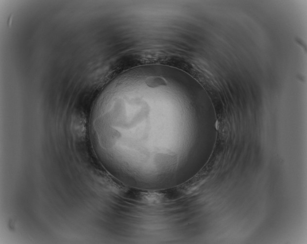 X0000091580226200708271227