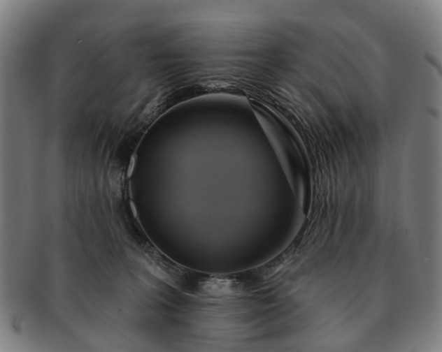 X0000091580227200708271227