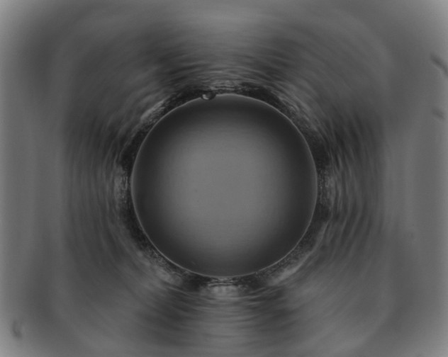 X0000091580228200708271227
