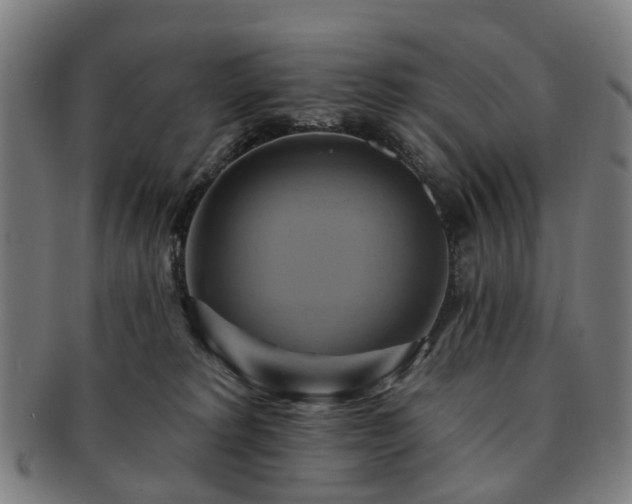 X0000091580229200708271227