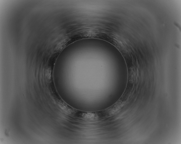 X0000091580230200708271227