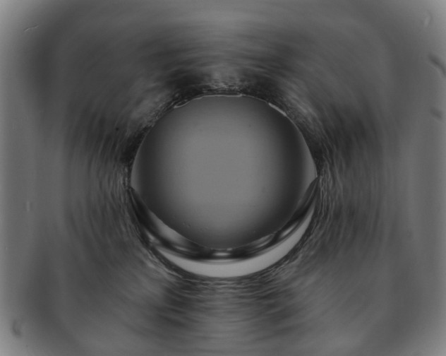 X0000091580233200708271227