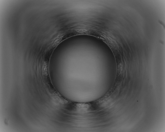 X0000091580234200708271227