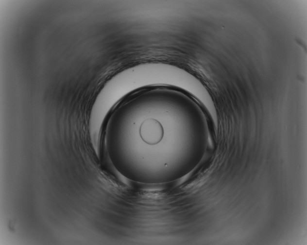 X0000091580237200708271227