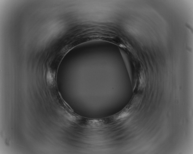 X0000091580239200708271227