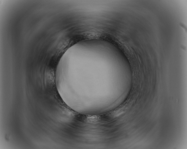X0000091580240200708271227