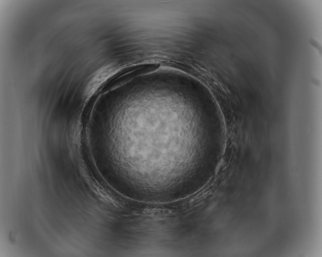 X0000091580242200708271226