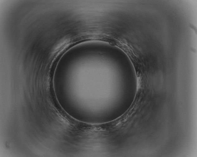 X0000091580243200708271226
