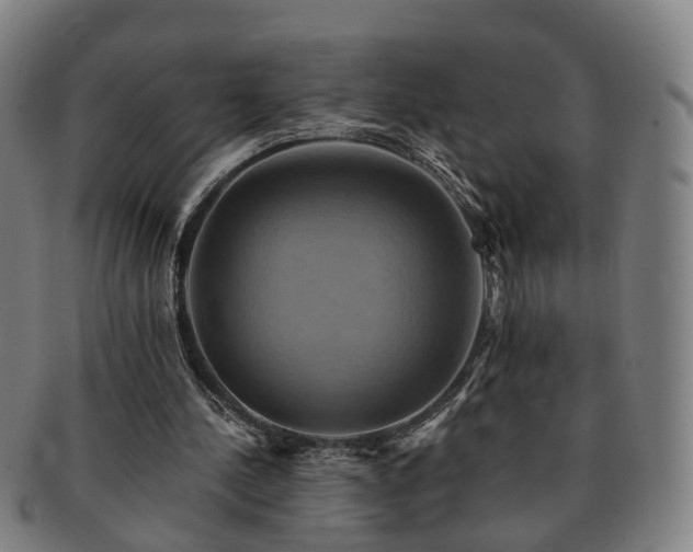X0000091580244200708271226