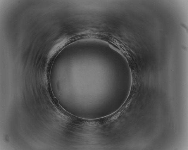 X0000091580245200708271226