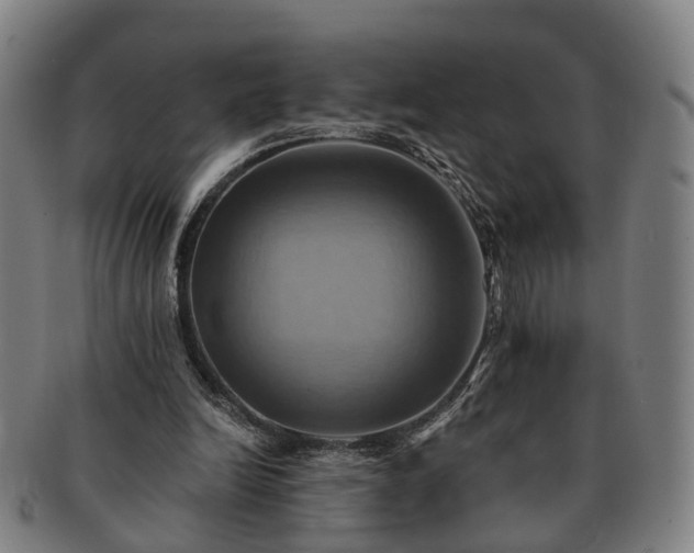 X0000091580246200708271227